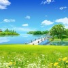 浙江网友49149