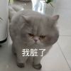 海南网友20882