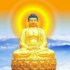 浙江网友65043