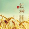 0月花z容e