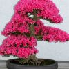 天津网友48173