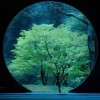 四川网友49525