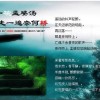 安徽网友74242