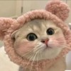 网友昵称：|59:40|59:40