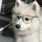 QQ头像