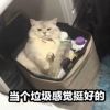 海南网友55423