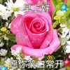 海南网友16019
