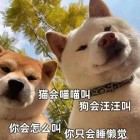 QQ头像