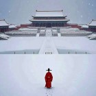 QQ头像