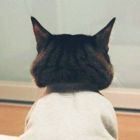 QQ头像