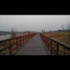 江苏网友28333
