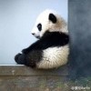 山东网友74497