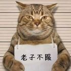 QQ头像