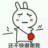 湖北网友13385