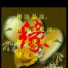 安徽网友72674
