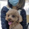 评论头像