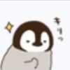 西藏网友30922