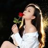 民大0树