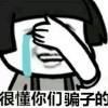 河南网友63727