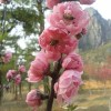 江苏网友44364