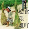 香港网友49277