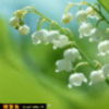 江西网友80661
