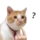 QQ头像