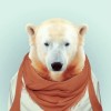 评论头像