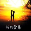 山东网友53724