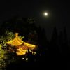 福建网友14538