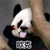 广东网友60876