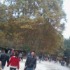 福建网友68864