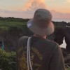 河南网友60638