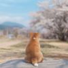广西网友76783