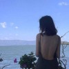湖北网友23306