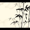 宁夏网友36858