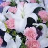 吉林网友53620