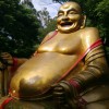 广东网友16434