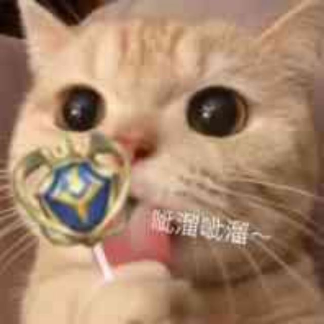 QQ Email Avatar