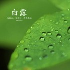 QQ头像