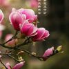 陕西网友47635