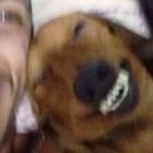 QQ头像