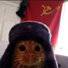 QQ头像