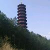 花花乐大8中