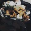 湖南网友10537