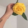 山西网友91610