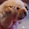 澳门网友94172