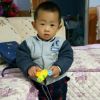 黑龙江网友23316