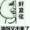 广东网友65879