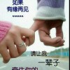 内蒙古网友14799